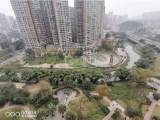 嘉州春天实景图
