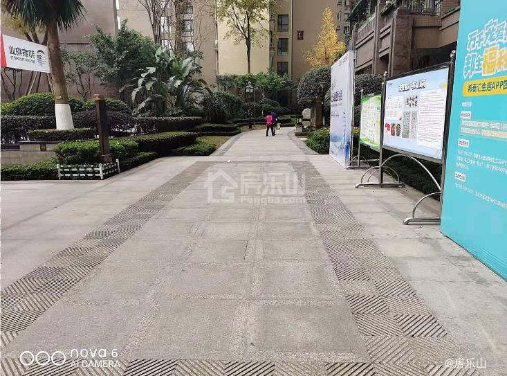 嘉州春天实景图