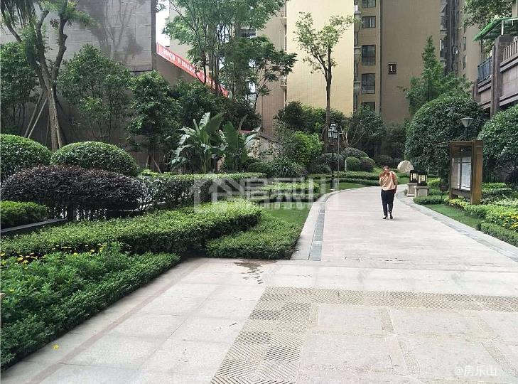 嘉州春天实景图