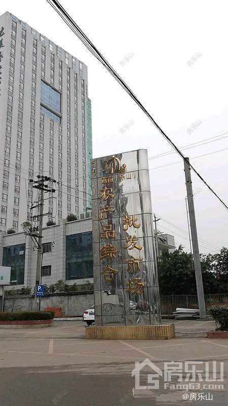 西南乐山农产品综合批发市场实景图