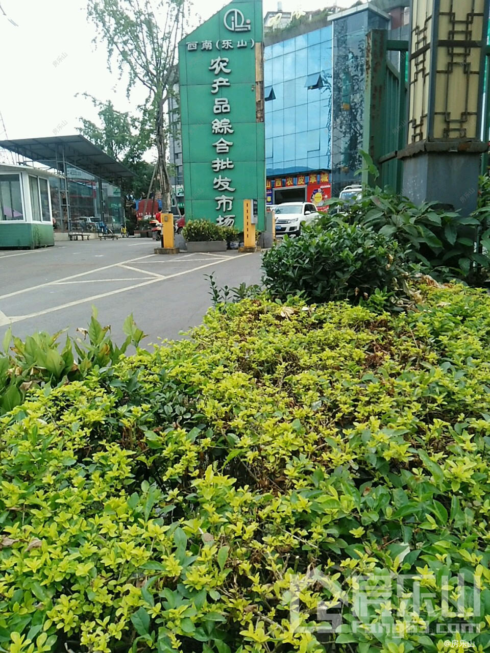 西南乐山农产品综合批发市场实景图