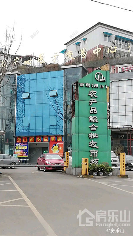 西南乐山农产品综合批发市场实景图