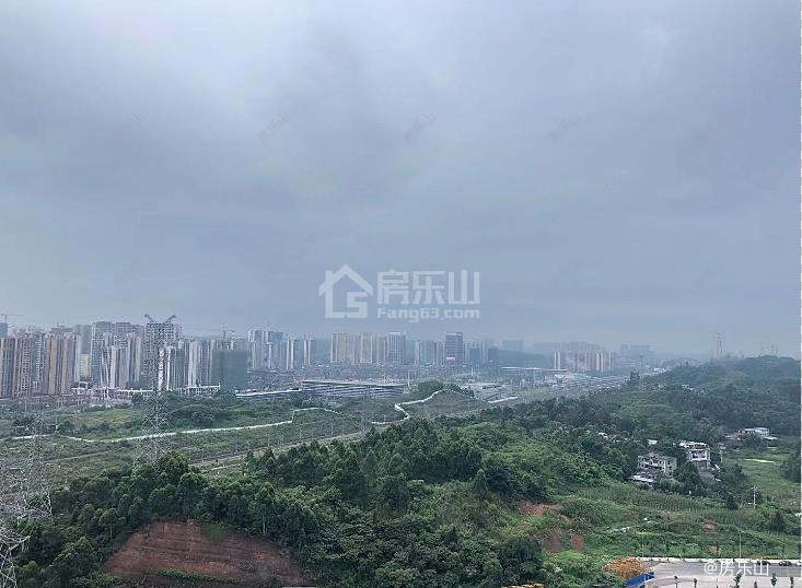 西南乐山农产品综合批发市场实景图