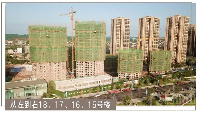 滨江花园城2021年8月工程进度实拍图