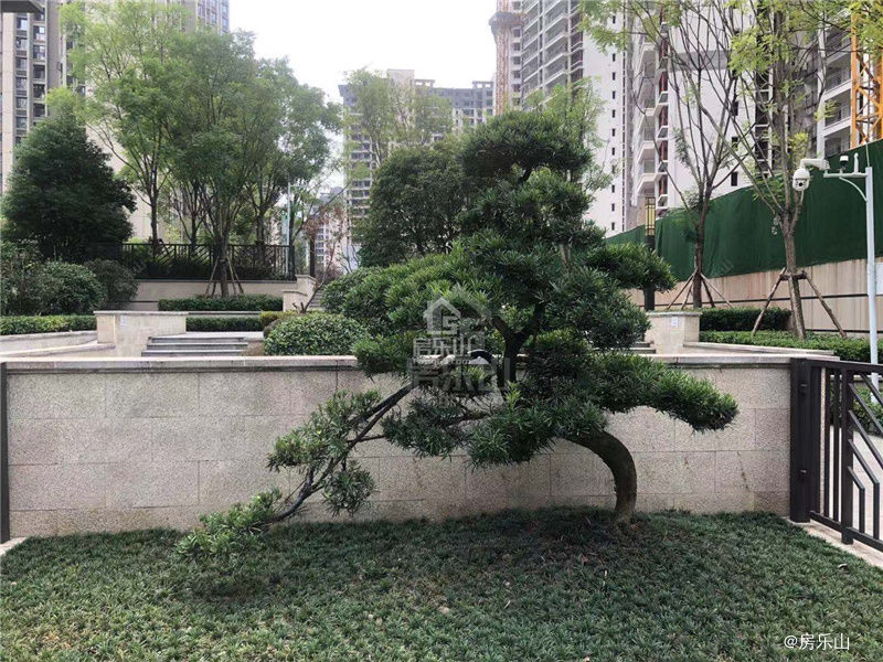 富力尚悦居交房实景图