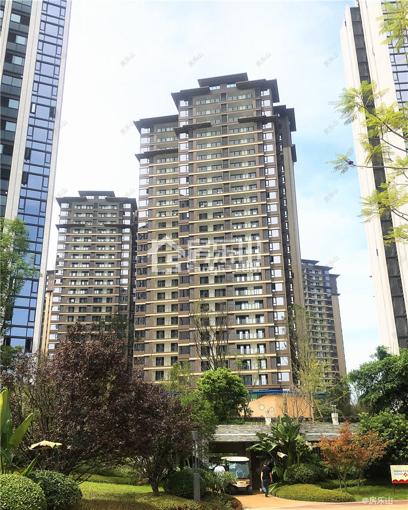 邦泰大渡河府滨河湾园实景图