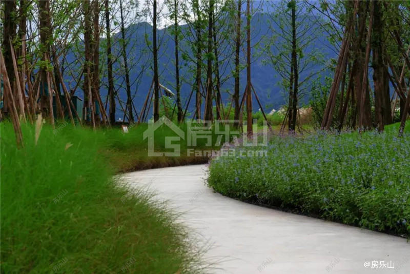 中国峨眉山国际康养中心实景图