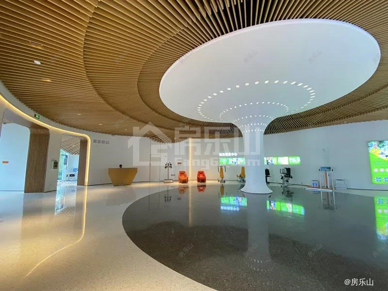 中国峨眉山国际康养中心实景图