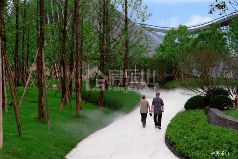 中国峨眉山国际康养中心实景图