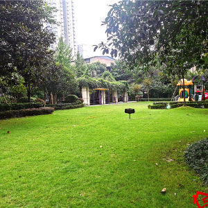 翡翠国际新天地实景图