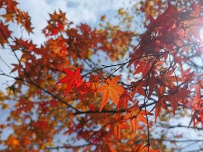 养生小贴士 | 冬季养生需重视，带您了解冬季康养之道