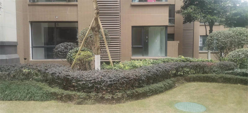 小区实景图