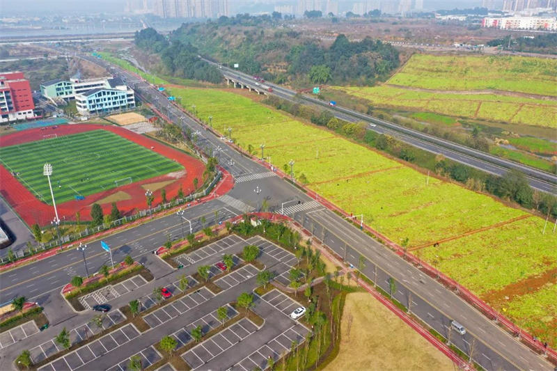 乐山高新区龙安路(乐沙路至龙口路) 乐山高新区龙安路(乐沙路至龙口路)