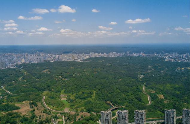 乐山市鸟瞰图 乐山市鸟瞰图