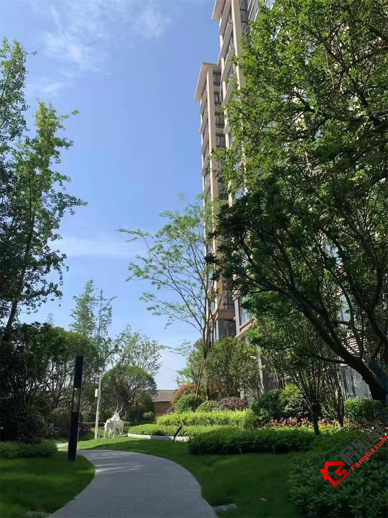 华泰阳光里小区实景图