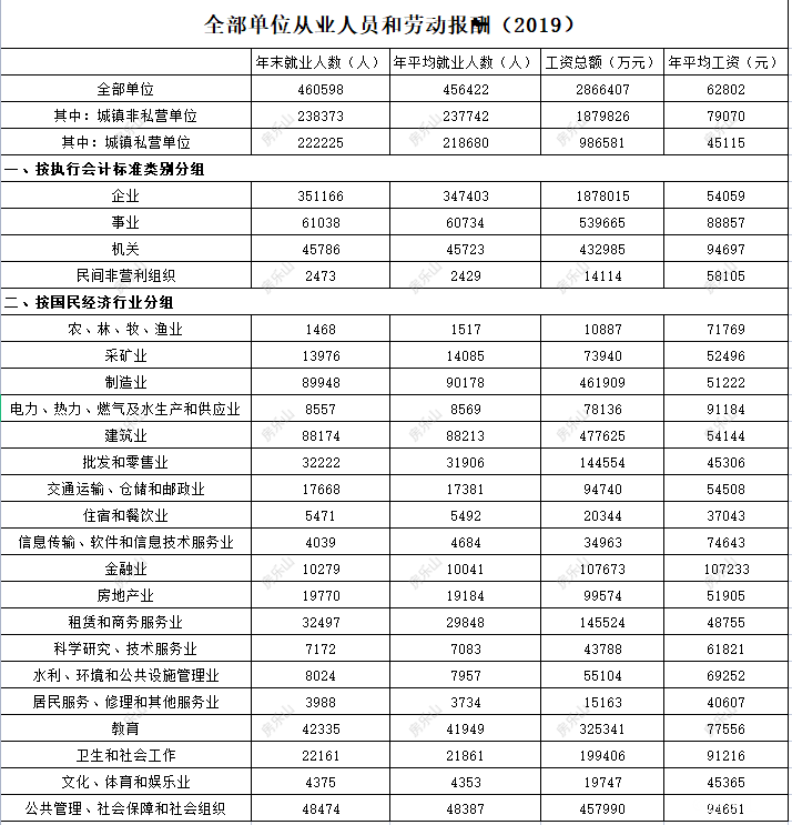 2019全部单位从业人员和劳动报酬