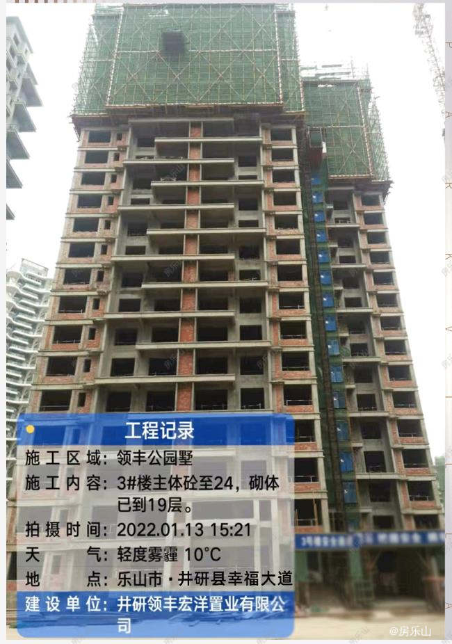 领丰公园墅2月工程进度