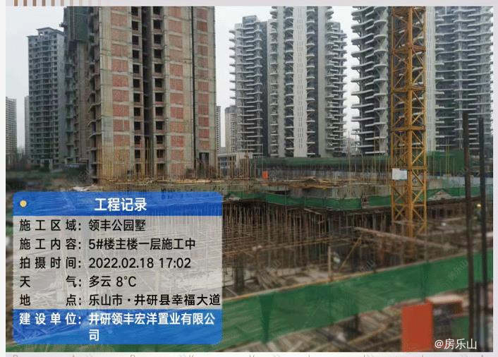 领丰公园墅2月工程进度