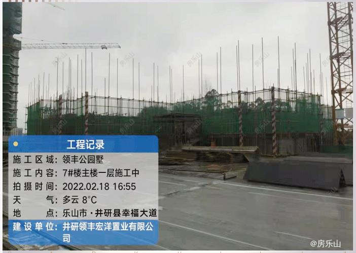 领丰公园墅工程进度图
