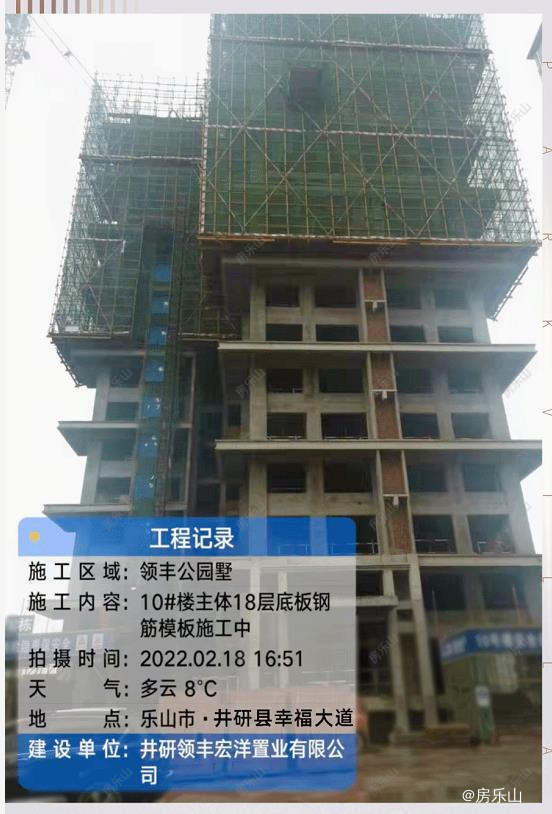 领丰公园墅工程进度图