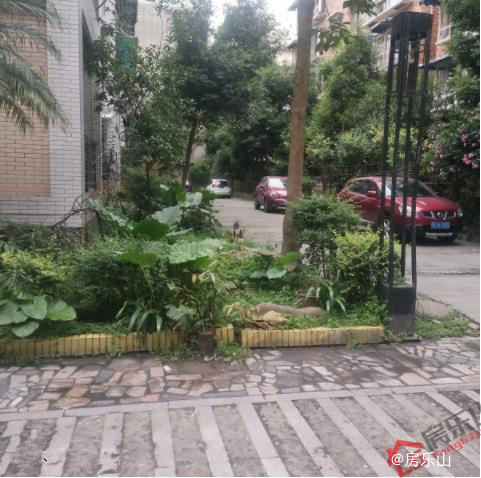 嘉州之春实景图