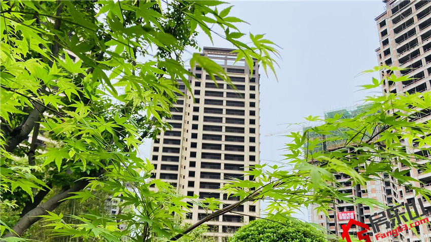 江山樾实景图