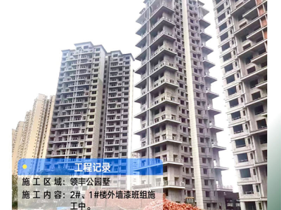 翩然盛夏，家境大成！领丰公园墅7月工程进度播报