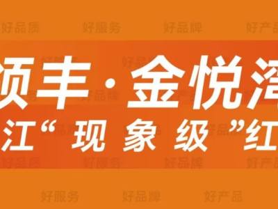 领丰好房推荐｜金悦湾：打造“现象级”红盘