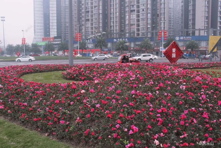 乐山城市景观