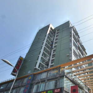 佳域领都实景图