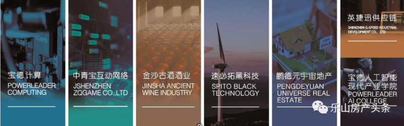 宝德公司旗下产业