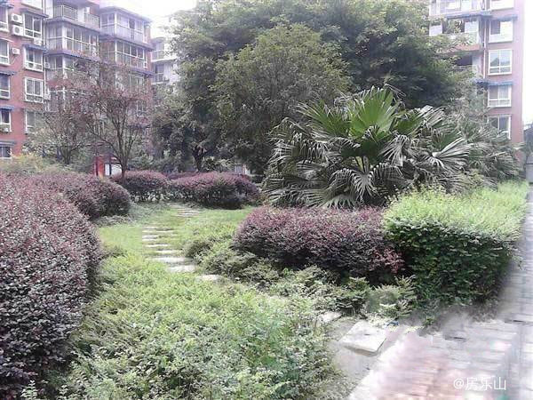 嘉州雅居实景图