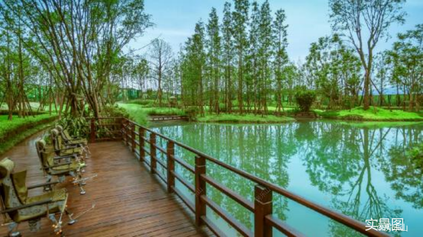 11230416675bd5c3d69092.png 640 (7).png