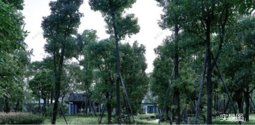 1123090245fdf32b0e8561.png 640 (18).png