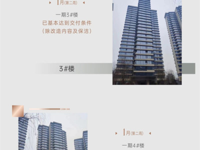 乐山同森锦樾1号最新工程进度播报