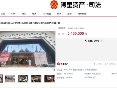 商业地标易主！乐山意凡建材MALL商铺拍卖引发热议！