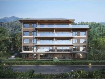 峨眉市林业园林局调研峨眉南山里基础设施项目建设