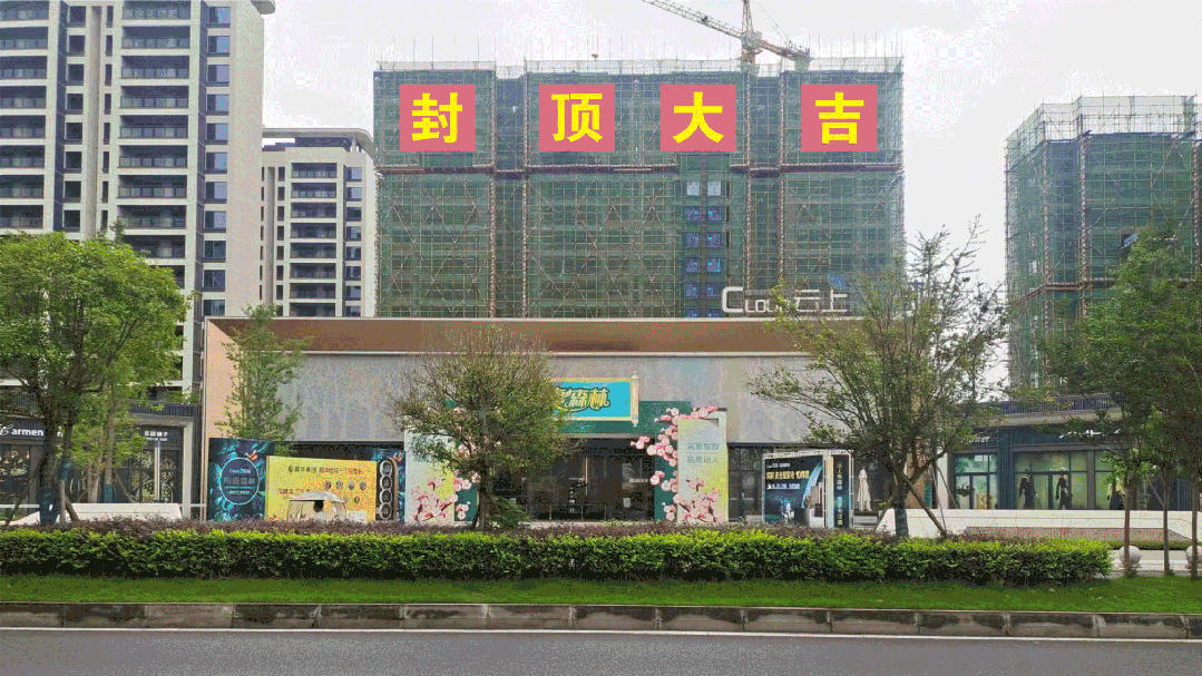 云上森林实景图