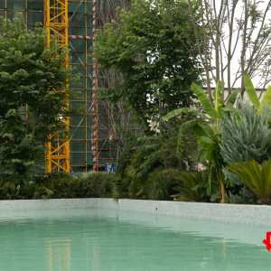 云著最新实景图