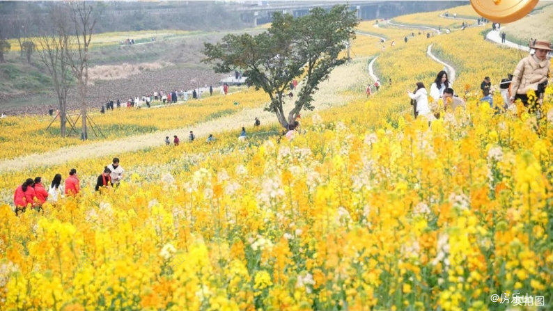 华泰空中云墅商铺周边配套