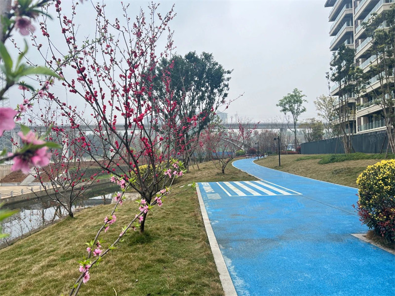 ?图片_20250403003936.jpg