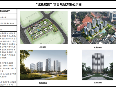 青江新区爆新盘！城投瑞园规划曝光，楼面价约2412元/㎡