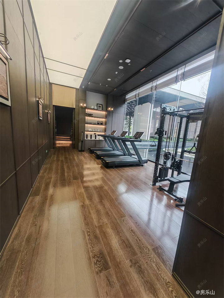 嘉州天序实景图